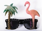 Glasses/Sunglasses