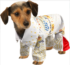 Elvis Presley Pet Costume