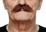 Moustache - 27cm x 3cm