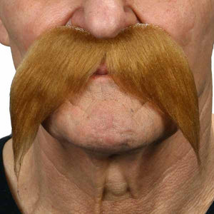 Moustache   16cm X 10cm