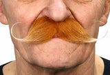 Moustache 13cm X 4cm
