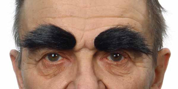 Eyebrows   6cm X 3cm