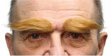 Eyebrows   10cm X 3cm