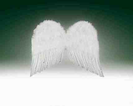 White Angel Wings 20