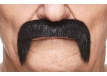 Mustache 10.5 cm x 7.5 cm