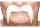 Mustache 10.5 cm x 7.5 cm