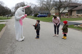 Easter Bunny Performer House Visit