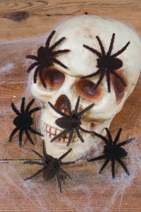 Hairy Spiders - 6 Pk