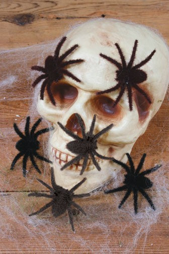 Hairy Spiders - 6 Pk