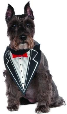 Tuxedo Pet Bandana