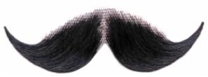 Deluxe Professor Moustache