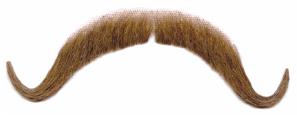 Deluxe Roarin 20's Moustache