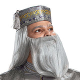 Deluxe Albus Dumbledore Costume