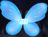 Fairy Wings - 23" x 18"