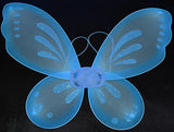 Fairy Wings - 23" x 18"