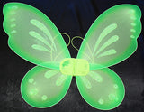 Fairy Wings - 23" x 18"