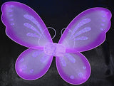 Fairy Wings - 23" x 18"