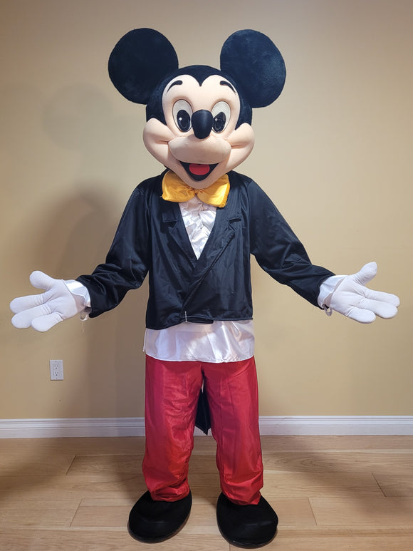 Mr Mouse Mascot #1 - Rent for $70.00