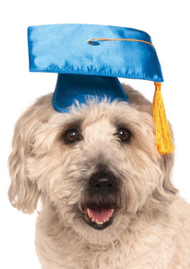 Blue Dog Graduation Cap - Size Sm/Med