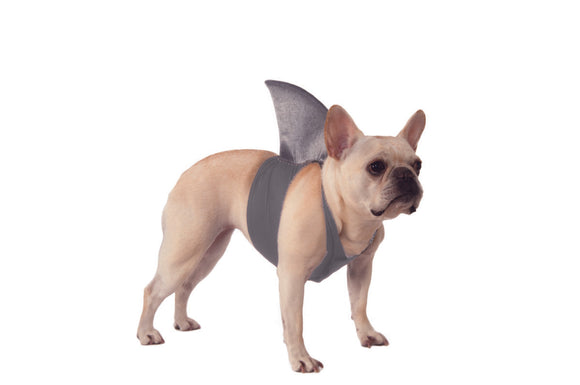 Shark Fin Pet Accessory