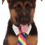 Pet Rainbow Tie with Collar - Size Med-Large