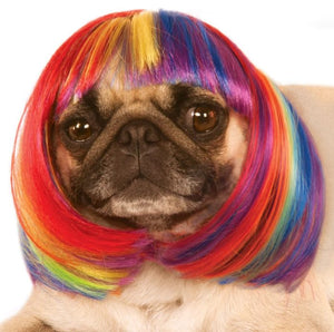 Rainbow Pet Wig - Size Med/Large