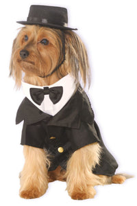 Dapper Dog Costume