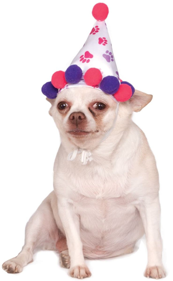 Pet Paw Birthday Hat