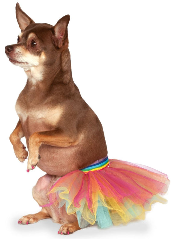 Rainbow Tutu Pet Costume