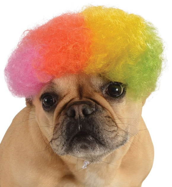 Dog Afro Rainbow Wig
