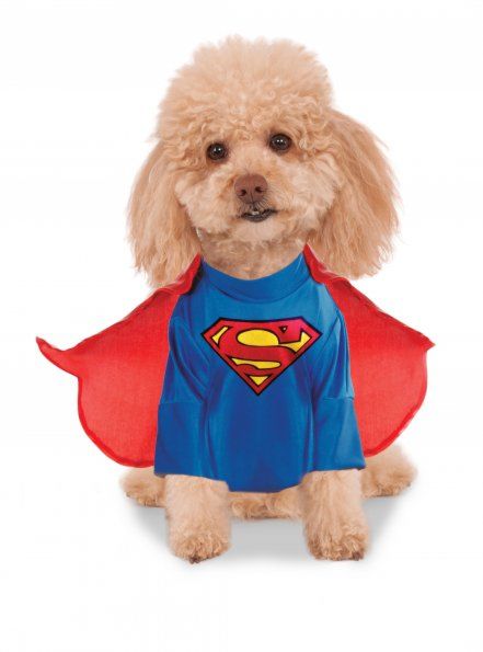 Superman Pet Costume