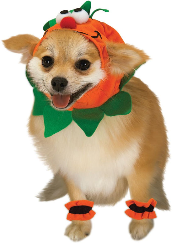 Economy Pumpkin Pet Costume