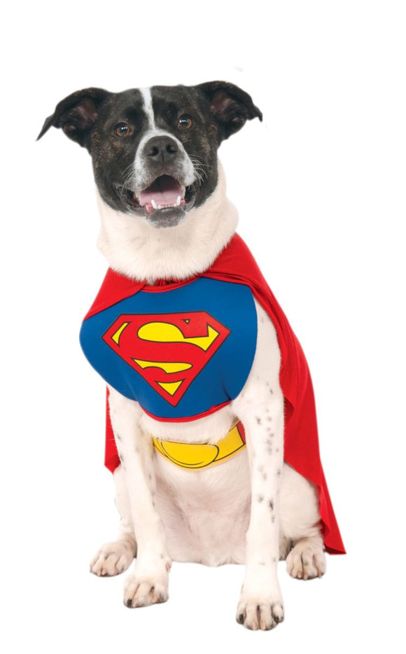 Superman Pet Costume