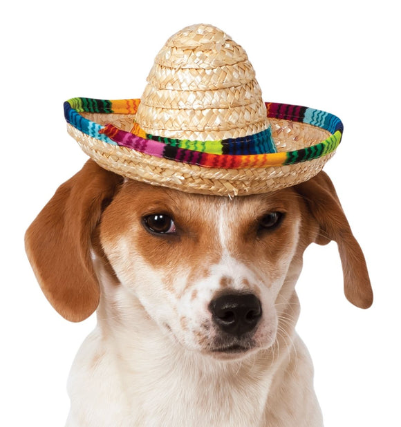 Pet Multicolor Sombrero