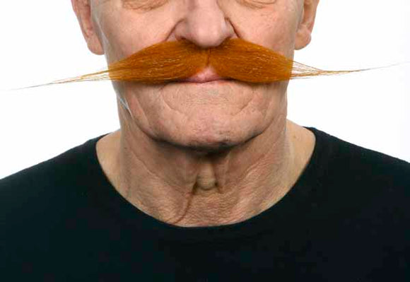 Moustache - 27cm x 3cm