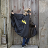 Reversible Spider Bat Cape and Mask