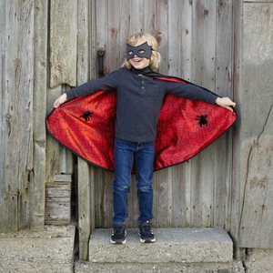 Reversible Spider Bat Cape and Mask