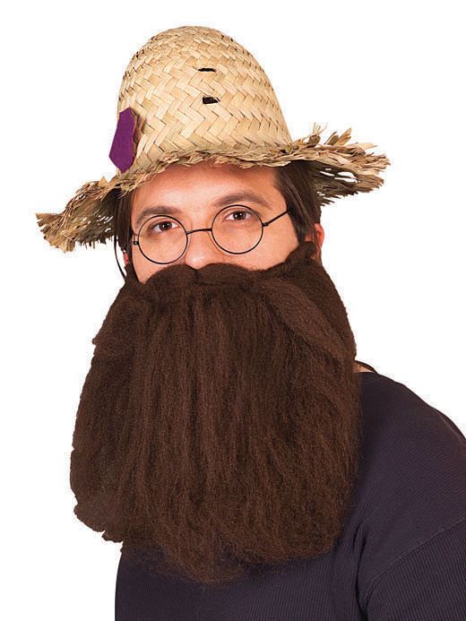 Hillbilly Economy Beard & Mustache - 14