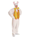 Easter Bunny Suit