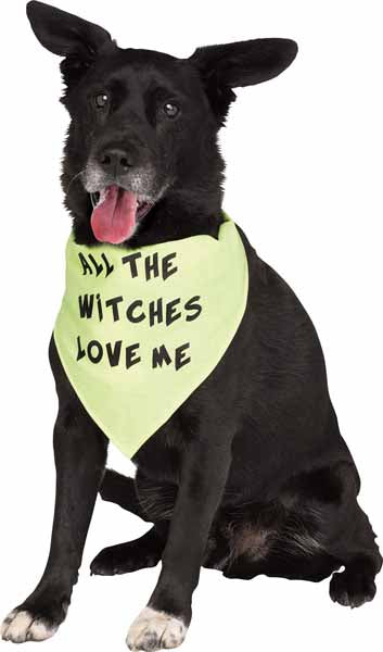 All The Witches Love Me