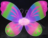 Fairy Wings - 23" x 18"