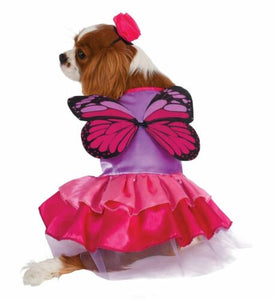 Pixie Pup Butterfly wing Costume Large - Pet